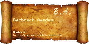 Bachrach Amadea névjegykártya